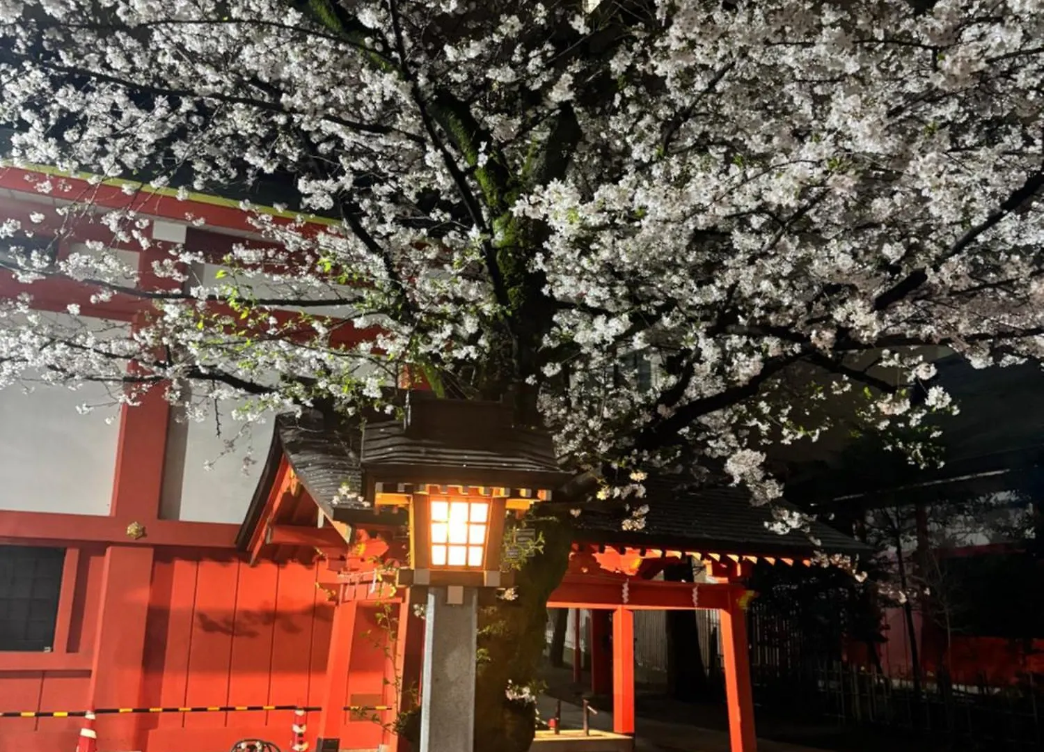 シティホテルサザンクロス 東京都 2*,  日本